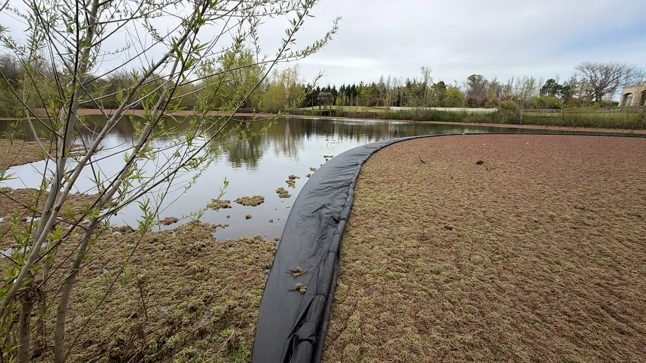 Laguna en recuperación con una barrera de contención sobre la costa