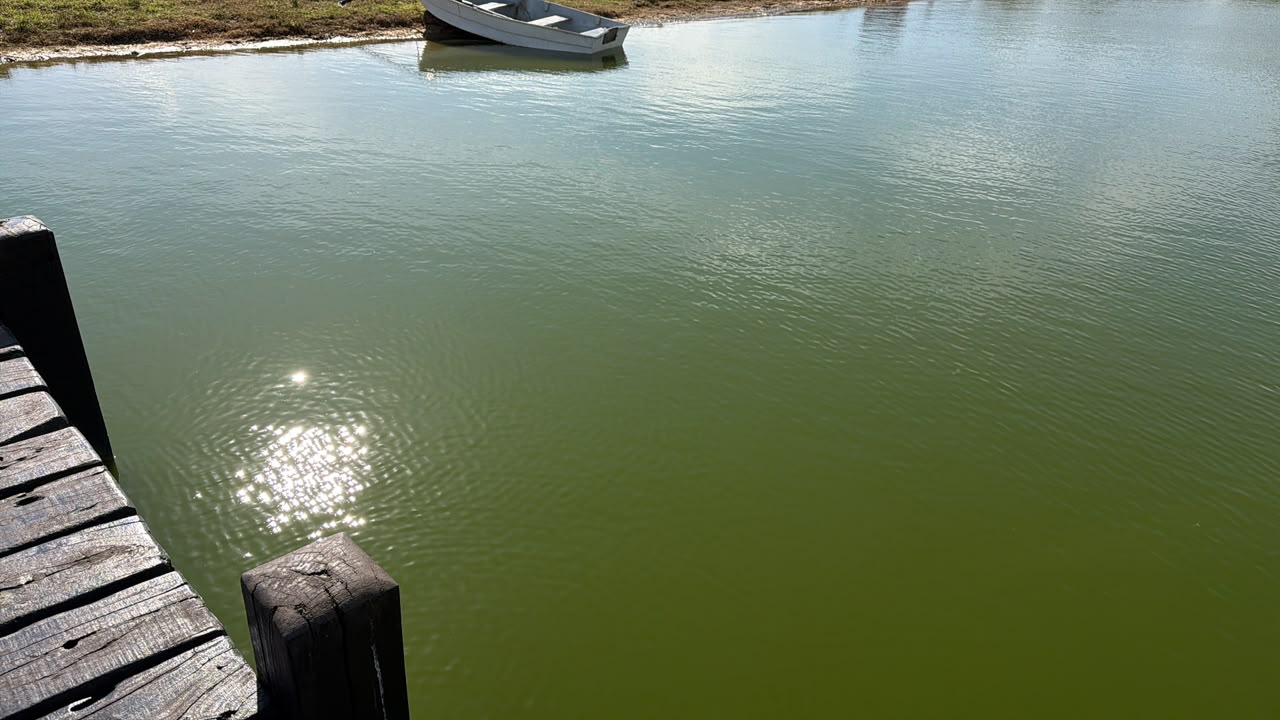 Problemas de calidad de agua y olores